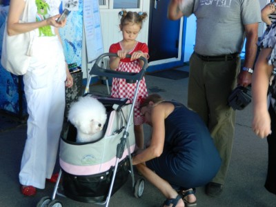 DSCN7213.JPG