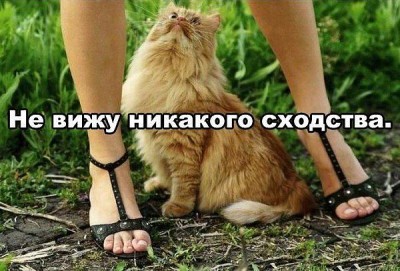 getImage (21).jpg