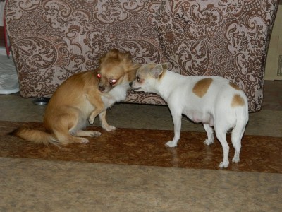 DSCN7721.JPG