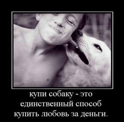 dem-0036.jpg