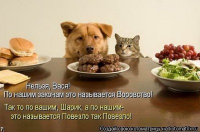 шарик.jpeg